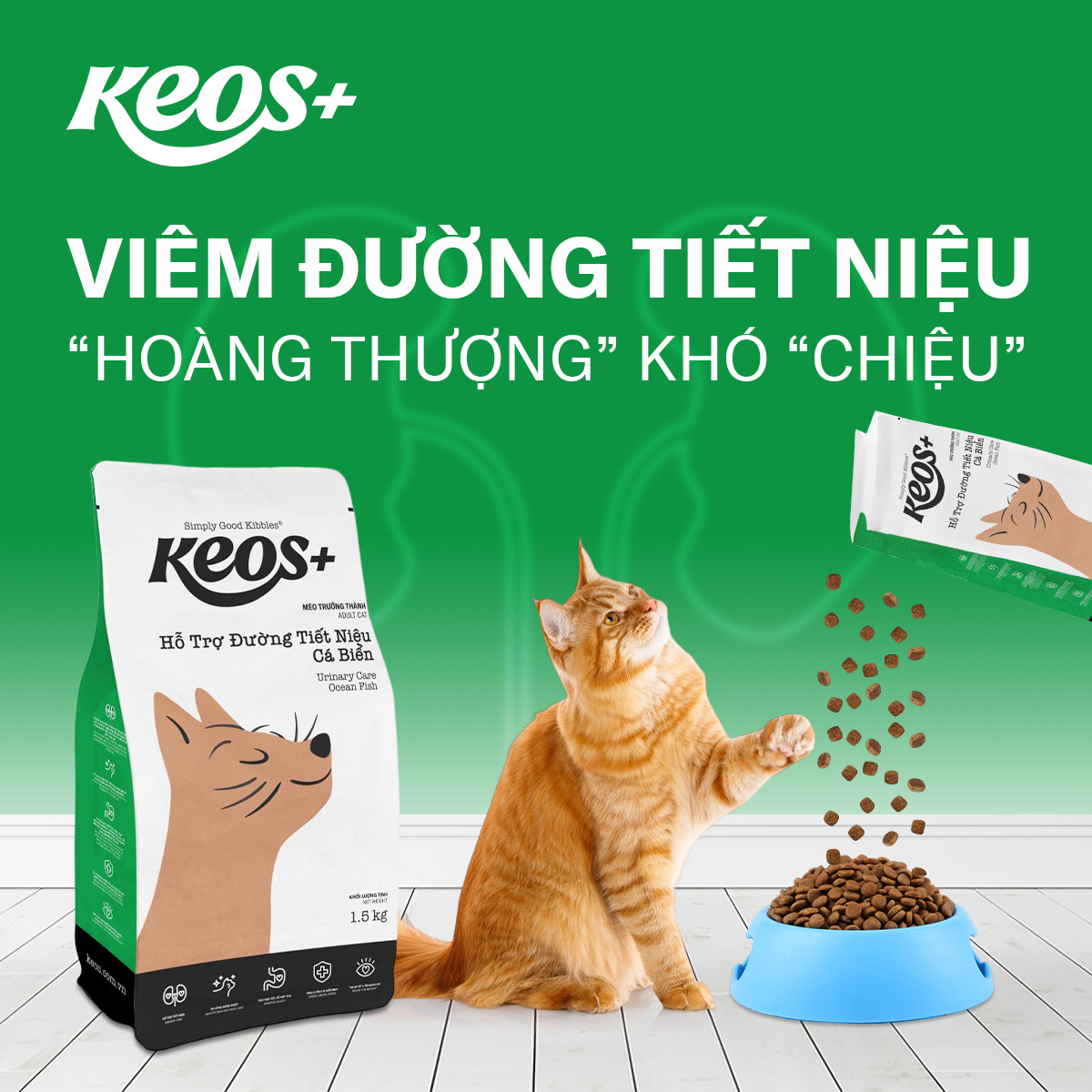 [9KG] Thức ăn hỗ trợ đường tiết niệu cho Mèo Keos Plus Cat Adult Urinary