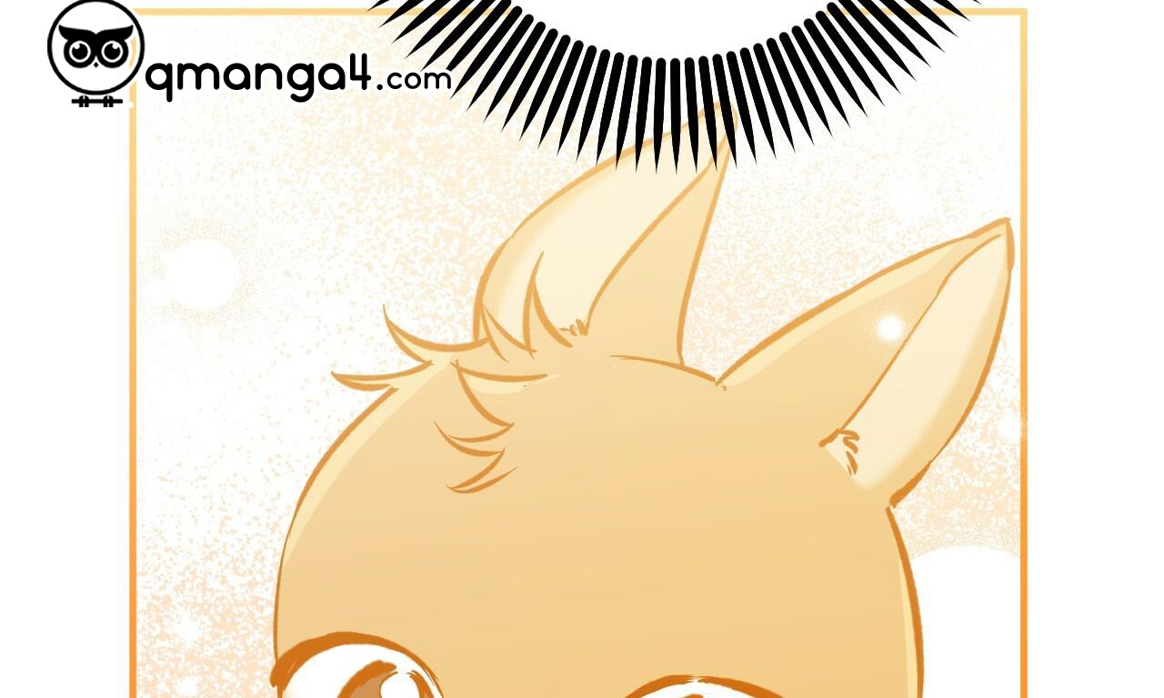 những chú thỏ của hapypy chapter 56 24