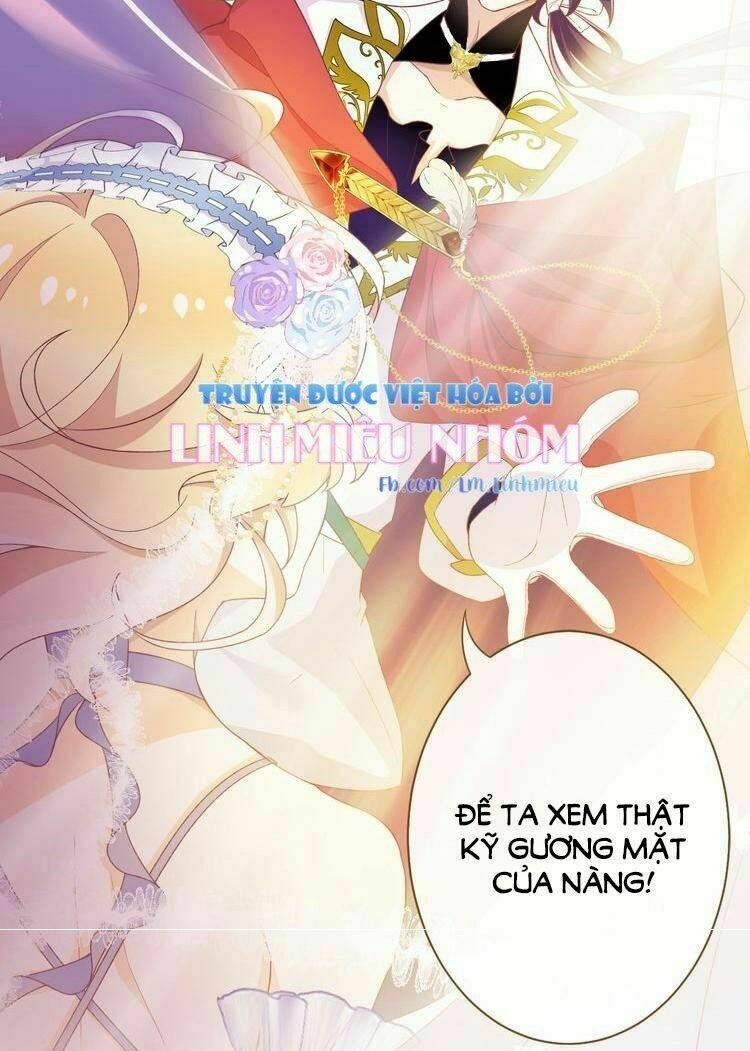 thuần bạch vận mệnh chi luân chapter 1 38