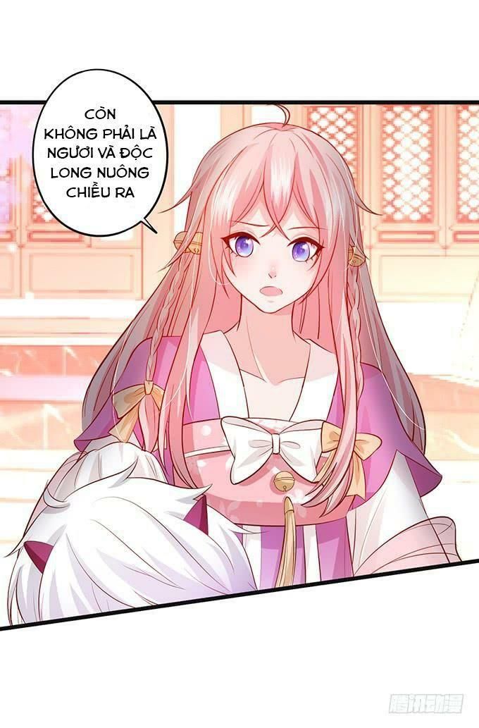 hồ tiên hung bạo chapter 129 11