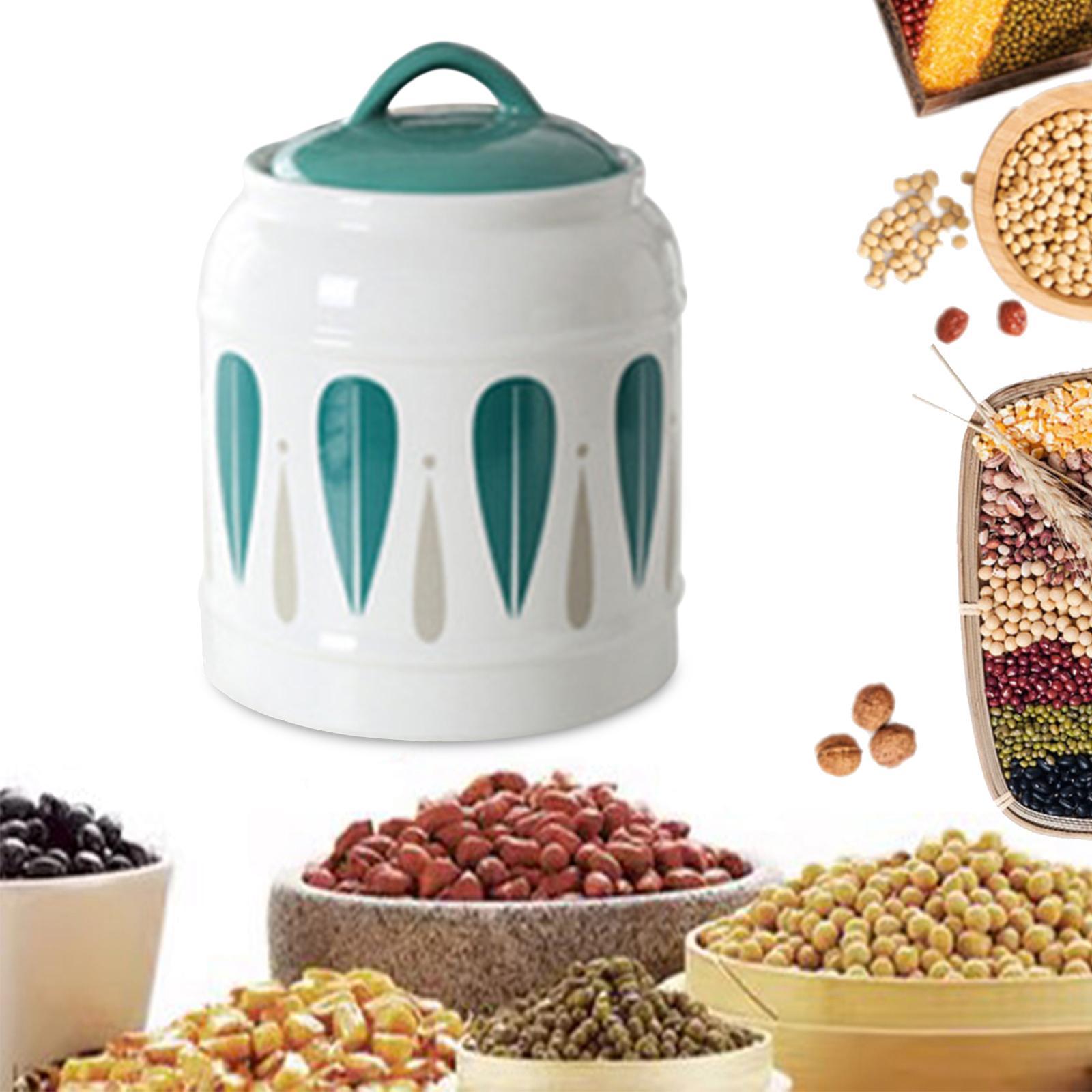 Ceramic Jar with Airtight Lid Food Storage Jar Porcelain Dry Food Container Tea Canister Pet Treat Storage Container for Rice