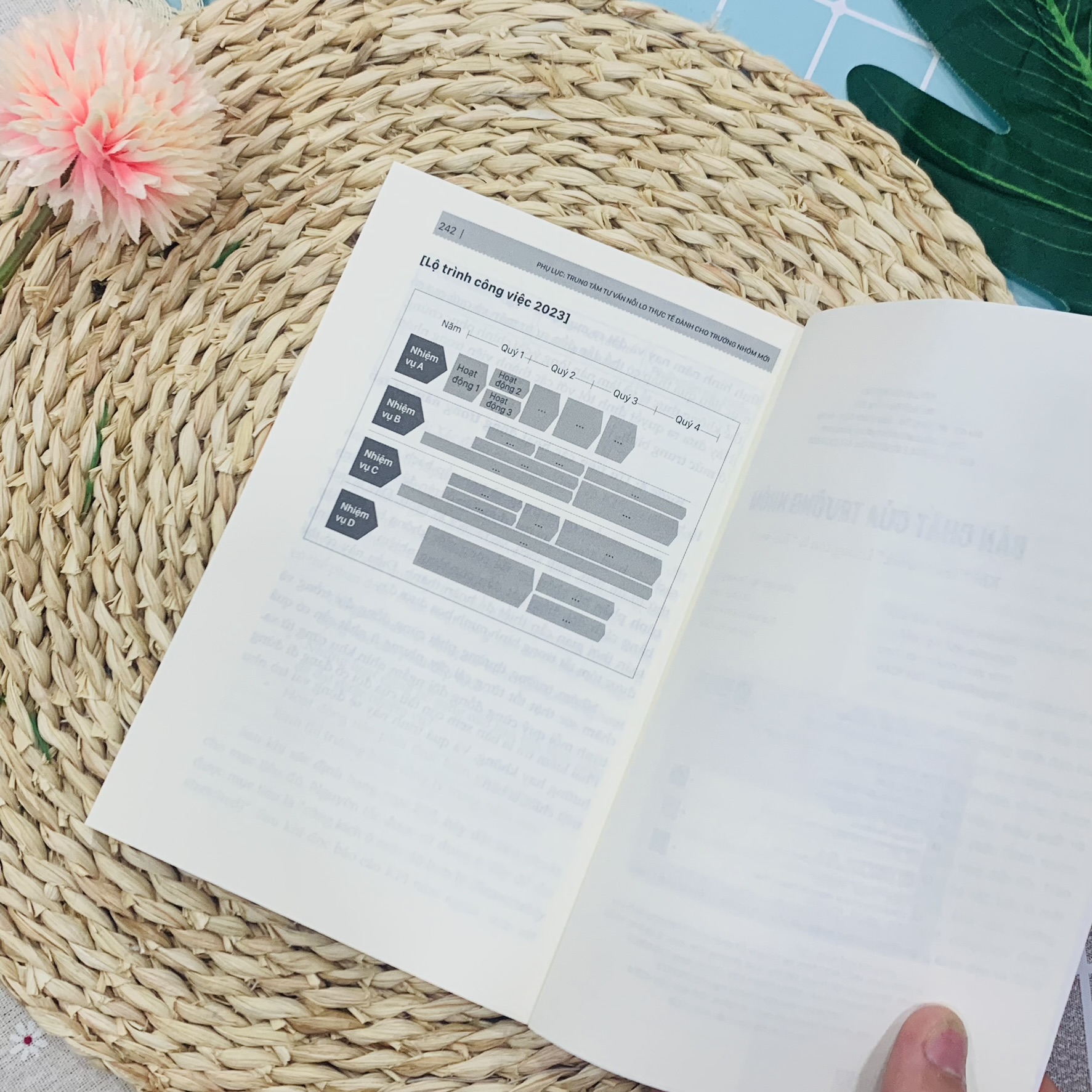 Bản Chất Của Trưởng Nhóm - Khi Team-Work"Không Còn Là Tao-Work