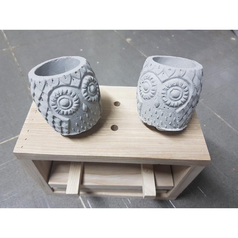 Chậu Xi Măng Mộc/ Hoạ Tiết Cú & Sò