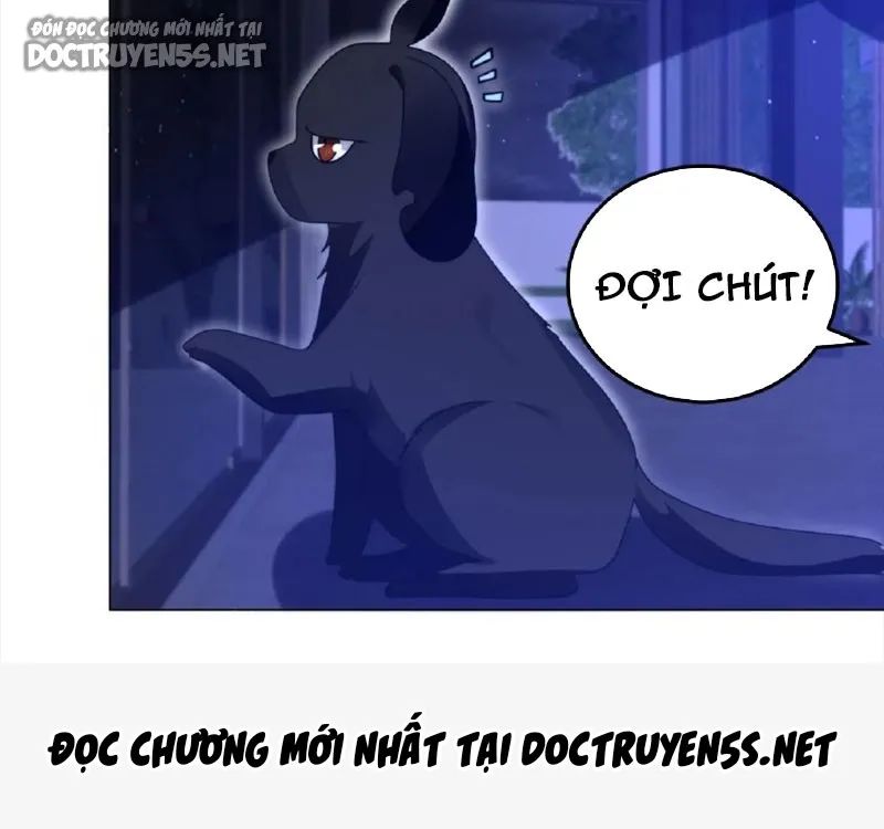 không gian hệ lão lục: dự trữ một vạn tấn thịt ngày tận thế chapter 20 20