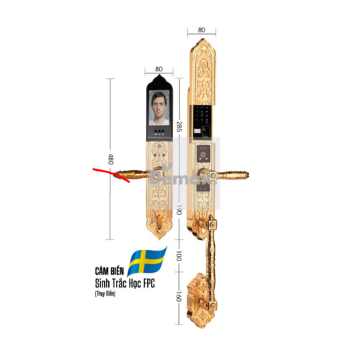 Khóa Đại Sảnh Demax SL988.24K.BRASS - hàng Chính Hãng