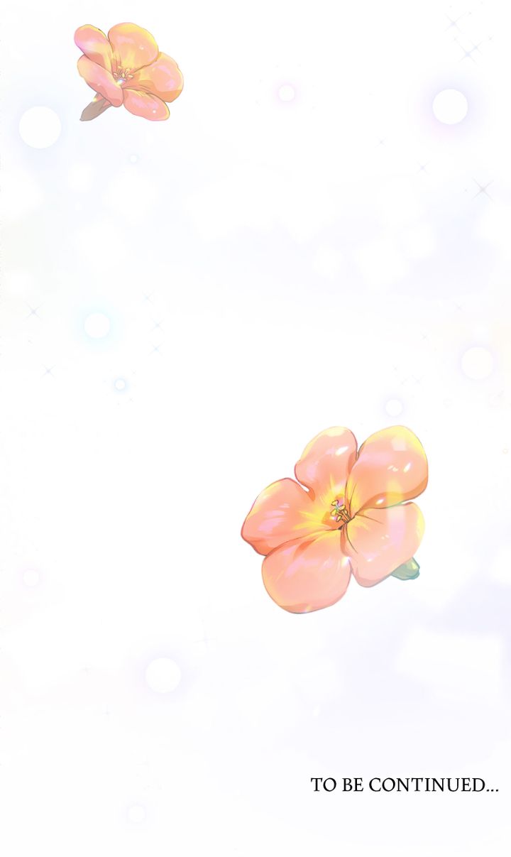 khi những nụ hoa nở rộ chapter 1 64