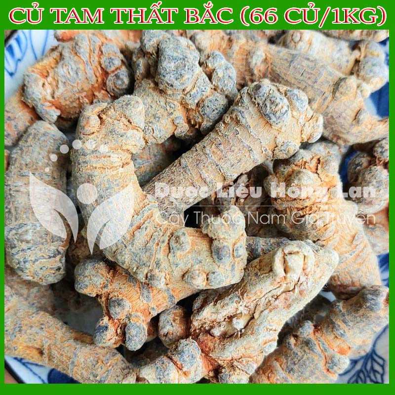 500g Củ Tam Thất Bắc loại 66 củ/1kg loại 1