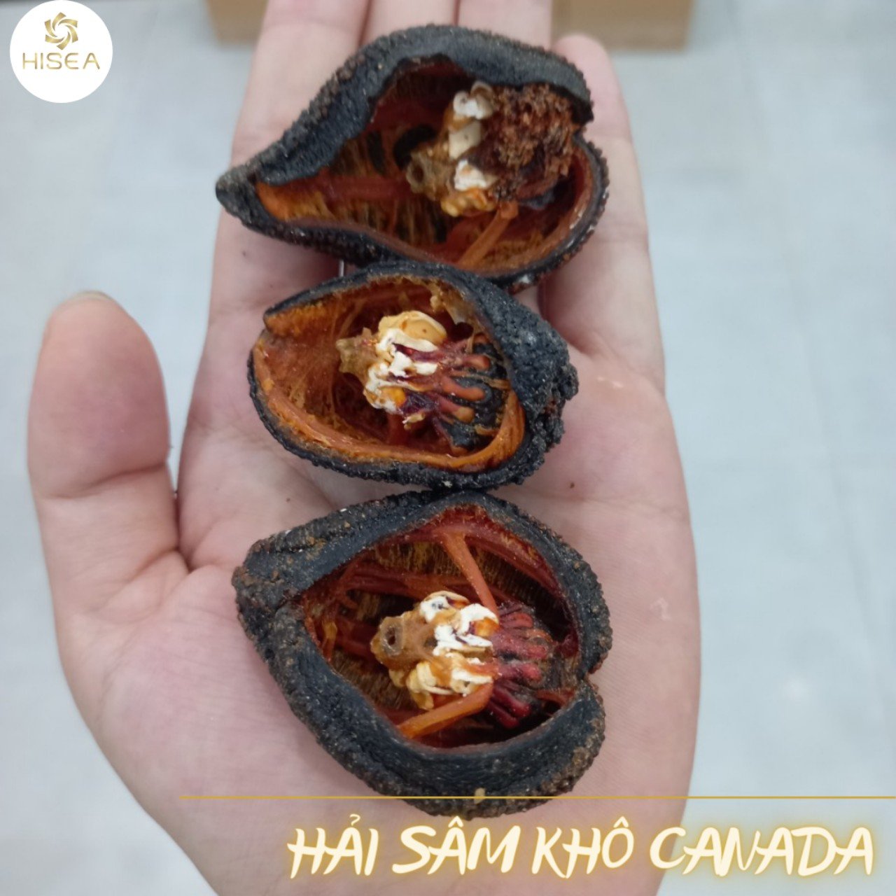 Hải sâm Canada khô - 100g