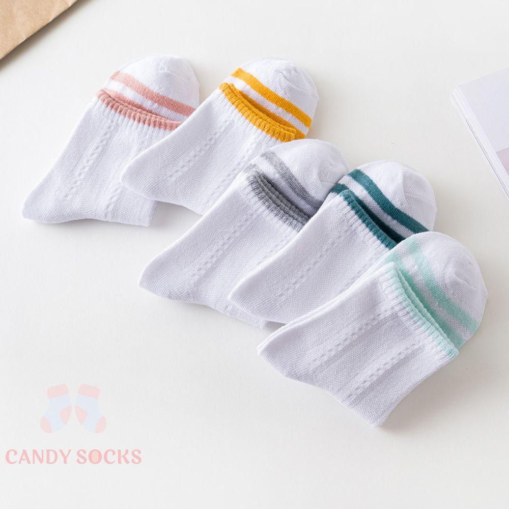 Tất nữ vớ nữ cổ thấp, Set 5 đôi tất nữ phong cách Hàn Quốc, co dãn 4 chiều, chất liệu cotton Hàn cao cấp TN-190