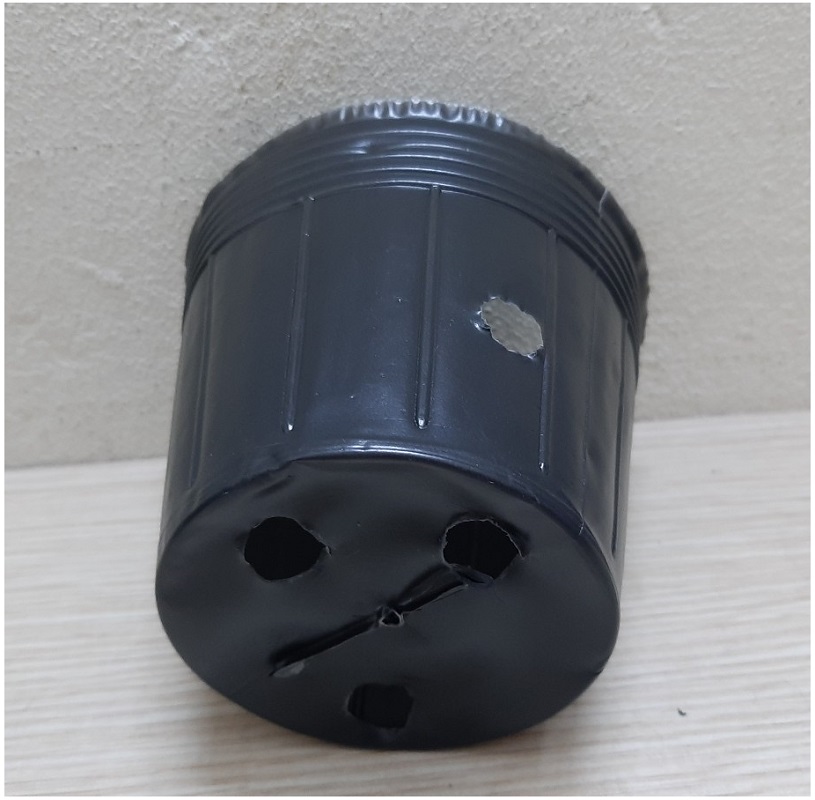 5 kg chậu nhựa mềm ươm cây 12x10 - bịch, túi bầu ươm cây 12x10; đường kính miệng x cao: 9x9cm