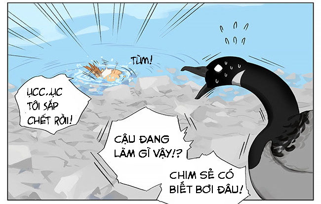 sẻ chiếu mới và nhạn phong sương chapter 8 6