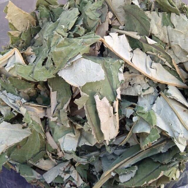 1bịch lá Sen khô giảm cân, giảm mỡ máu - hàng sạch làm thủ công, sen nhà trồng