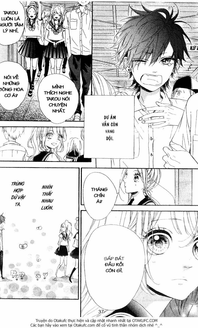 nagareboshi lens chapter 39 4