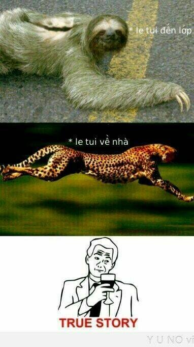 rage comic-troll chapter 67 12