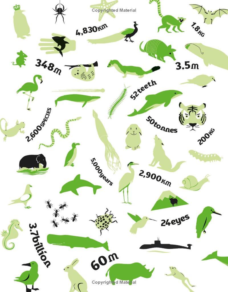 Sách ngoại văn: Our World In Numbers Animals