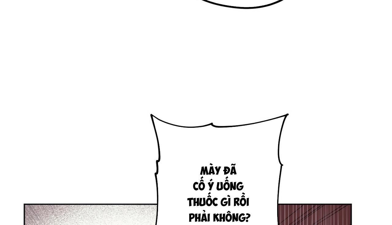 chàng dâu nhà họ kang chapter 14 110