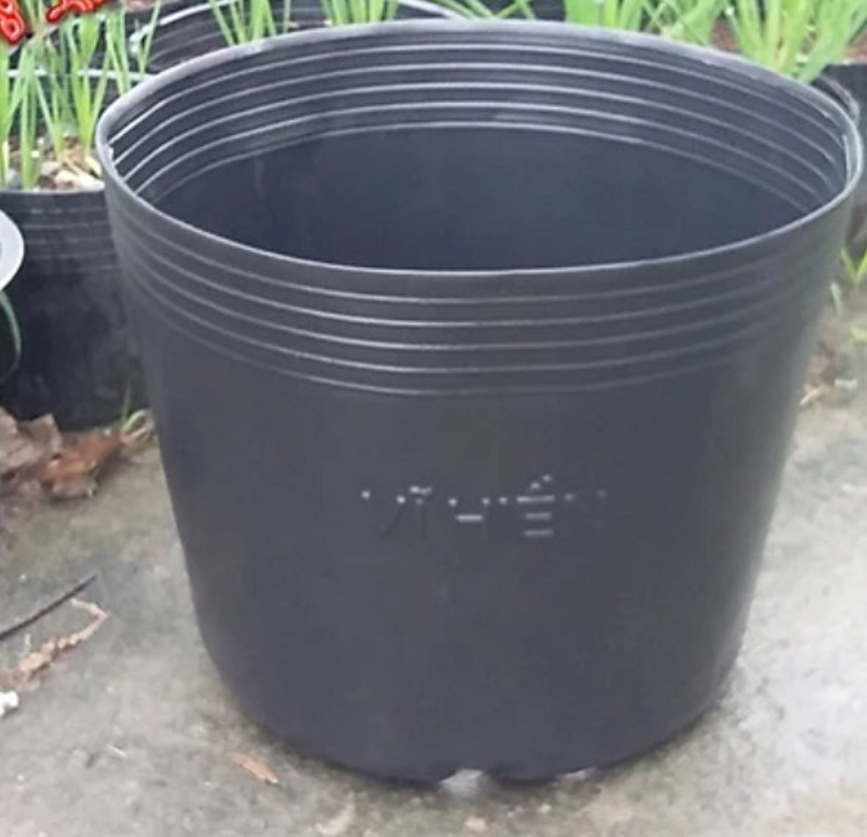 Chậu nhựa nhiều size