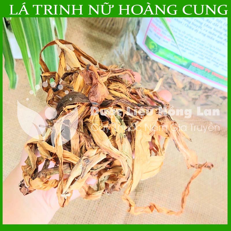 Cây Trinh Nữ Hoàng Cung khô 500g