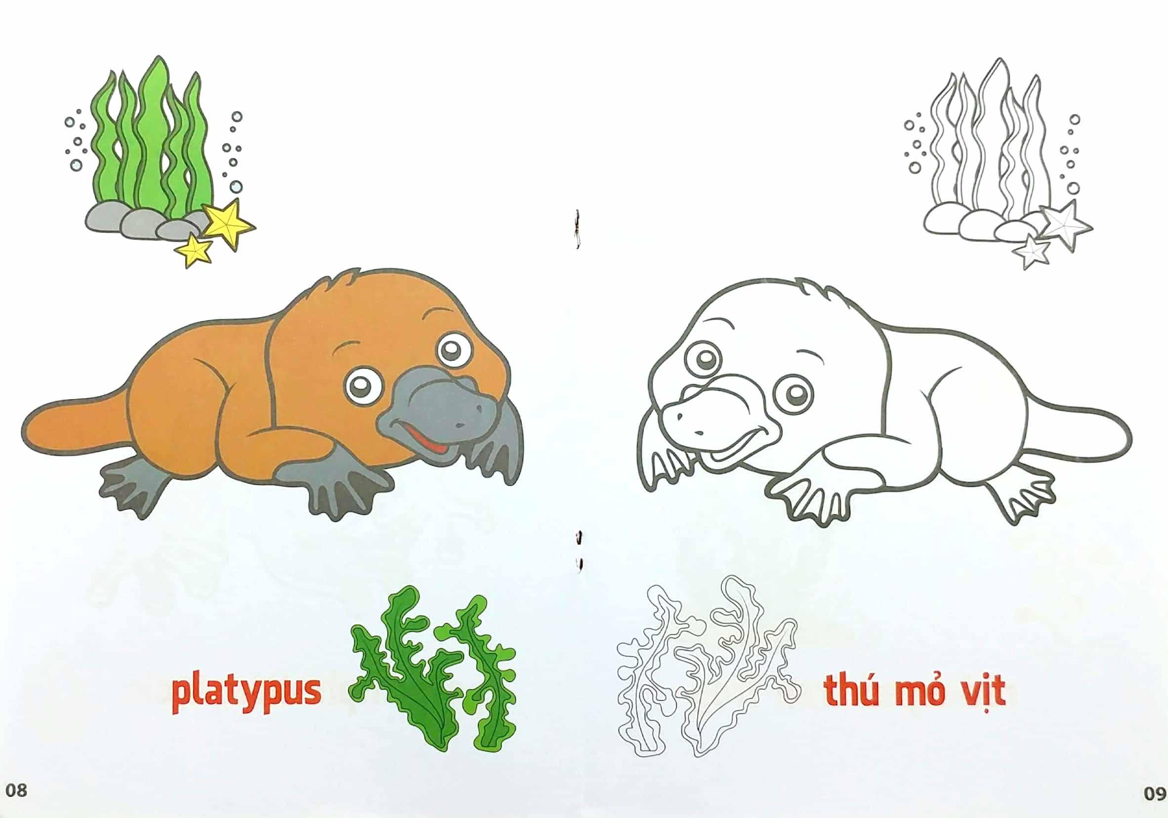 Tô Màu Động Vật Sống Dưới Nước - Song Ngữ Anh-Việt - Tập 3