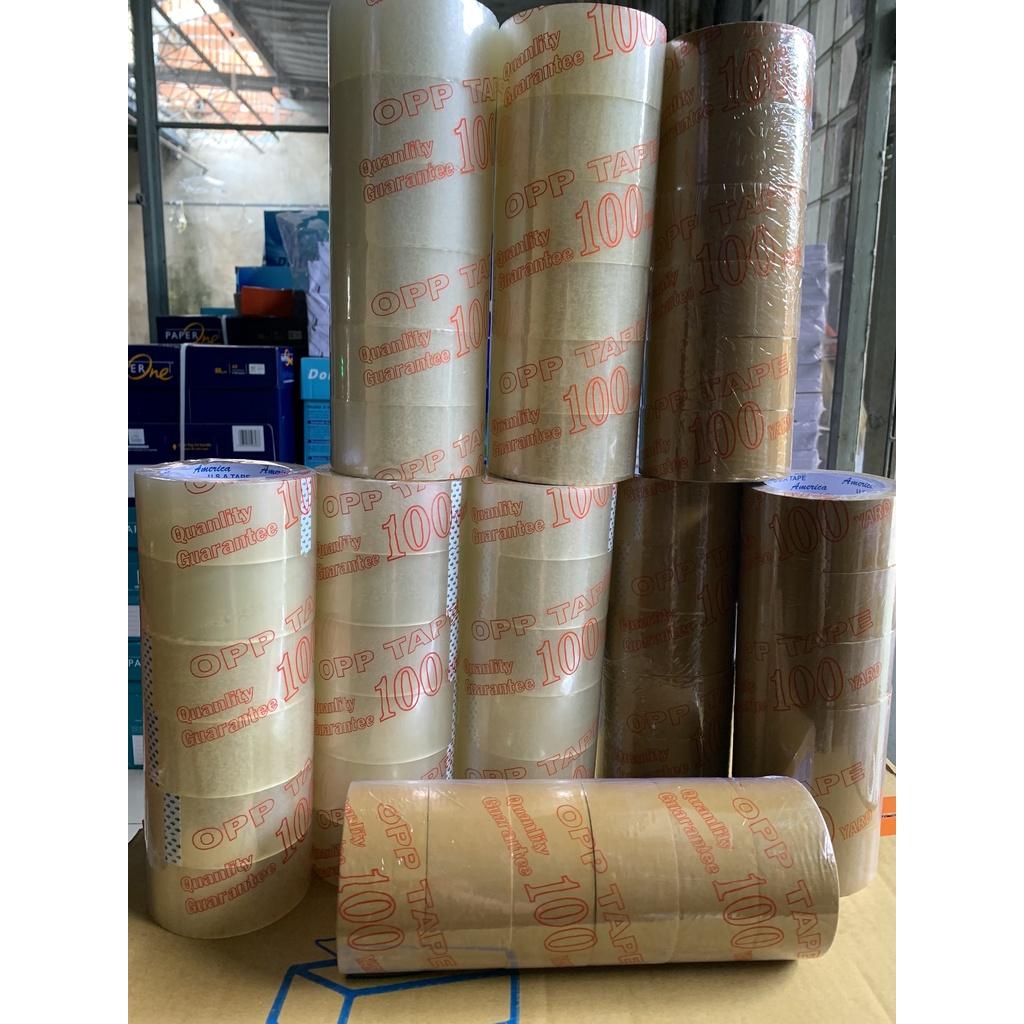 Cây Băng Keo 2F4 / 4F8 - 100ya