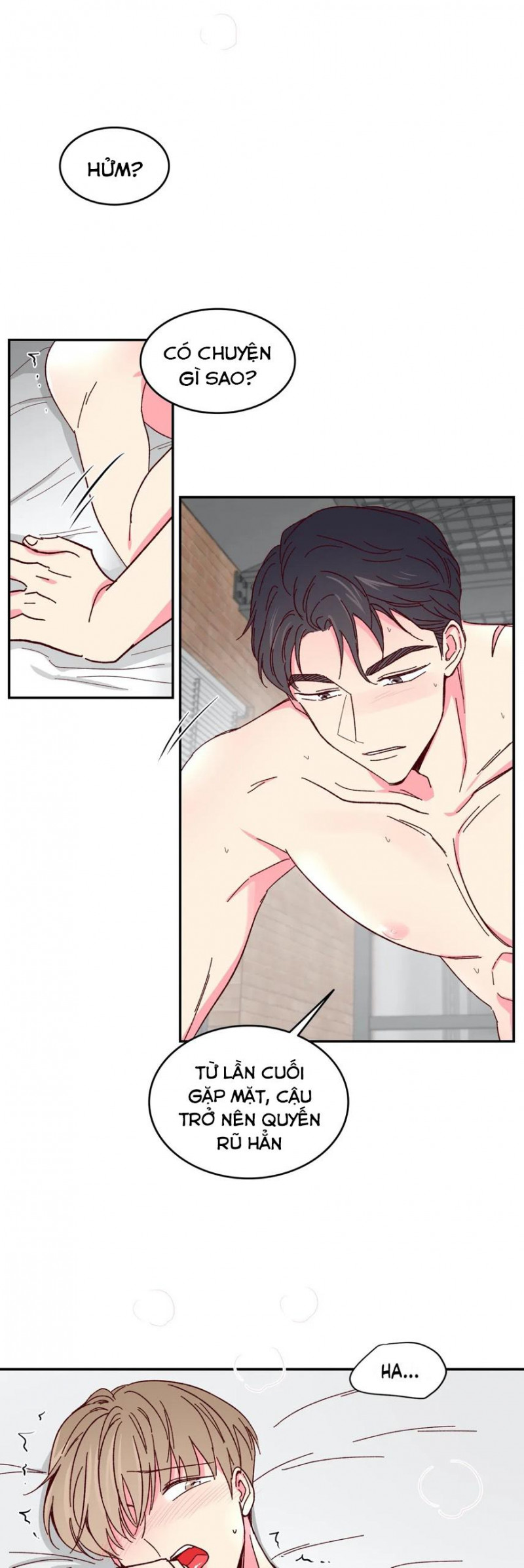 món tráng miệng của sếp tổng chapter 49 5