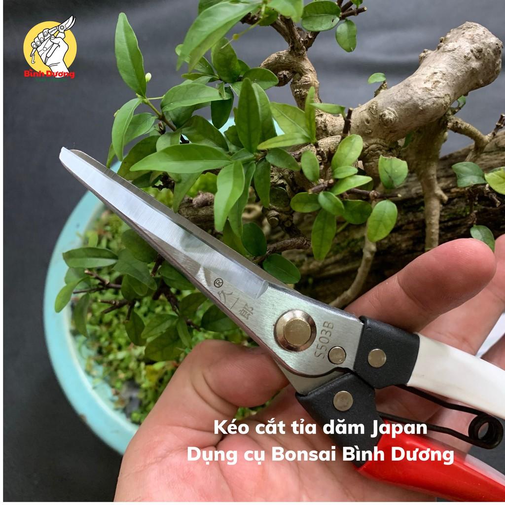 COMBO 2 KÉO CẮT TỈA JAPAN - SK5 CẮT TỈA CÂY CẢNH BONSAI