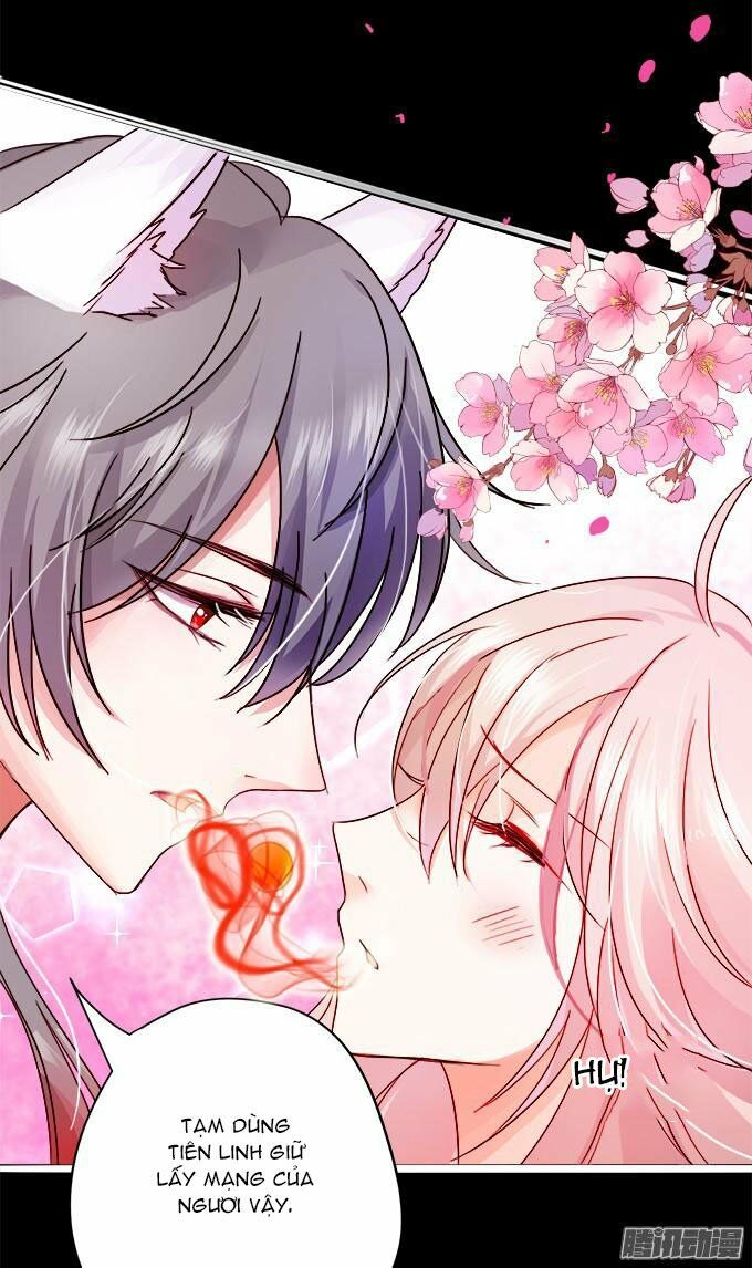 hồ tiên hung bạo chapter 1 97