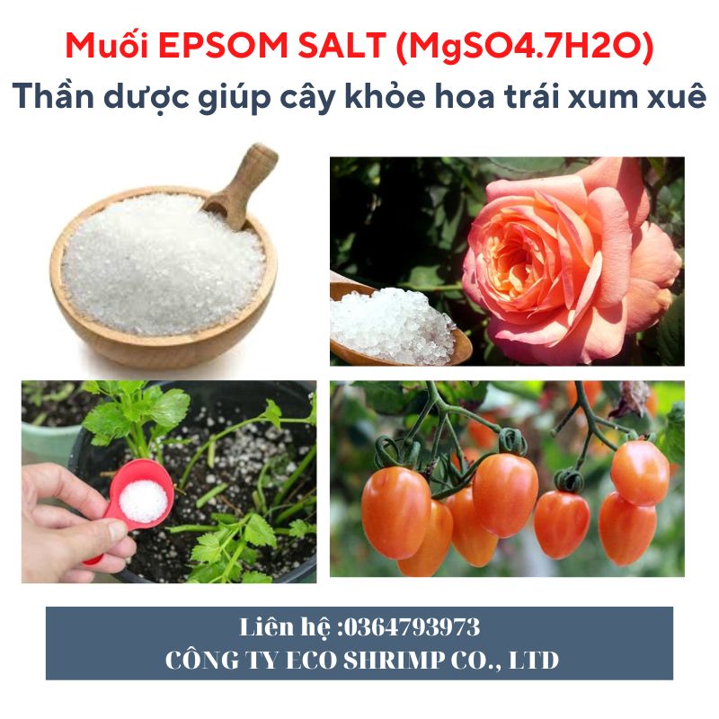 Muối Epsom Trồng Cây Nguyên Chất Chuyên Dùng Trong Nông Nghiệp