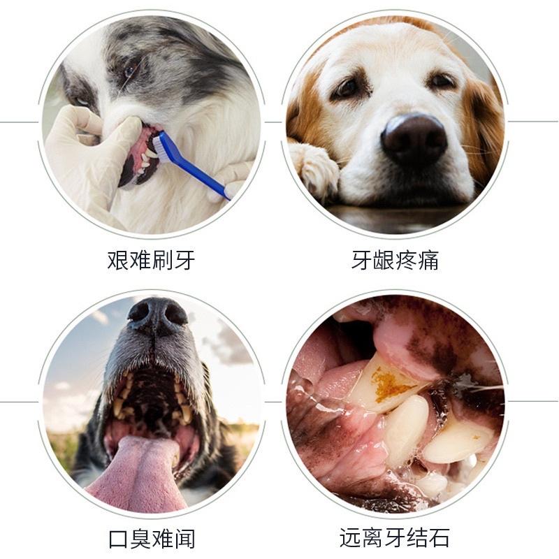 Xịt thơm miệng cho chó - Vệ sinh răng miệng chó mèo - Loại bỏ vi khuẩn, mảng bám, cao răng, mùi hôi răng miệng chó mèo