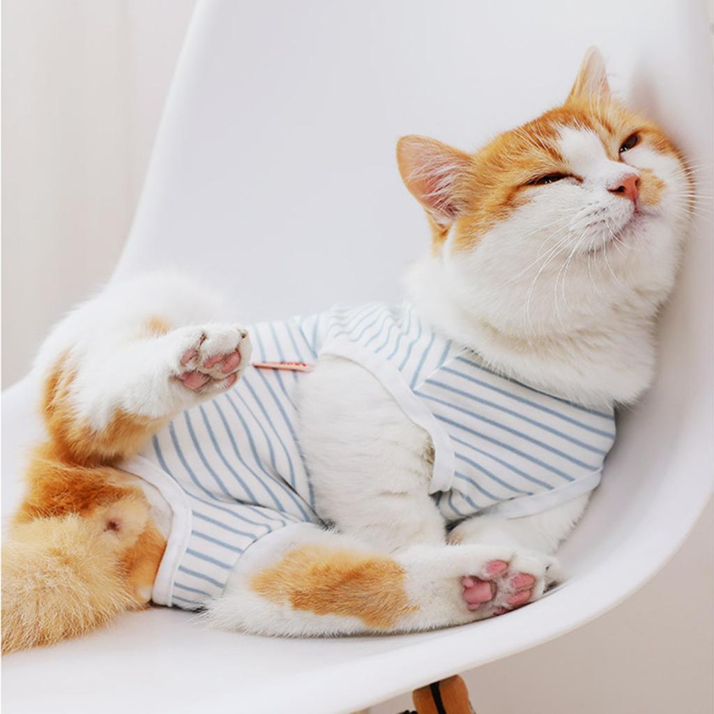 Cat Recovery Suits After Surgery Wear Clothes For Small Pet Cat Kitten