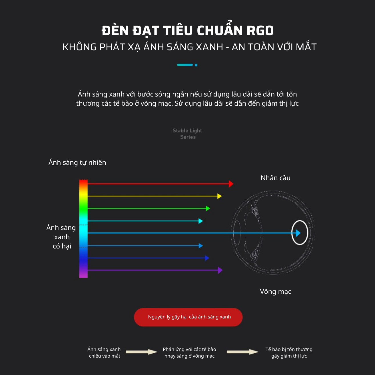 Đèn Bàn Học Chống Cận, Khử Ánh Sáng Xanh Tamayoko TB-20. Ánh Sáng Ổn Định Không Nhấp Nháy 3 Chế Độ Ánh Sáng Bảo Vệ Mắt