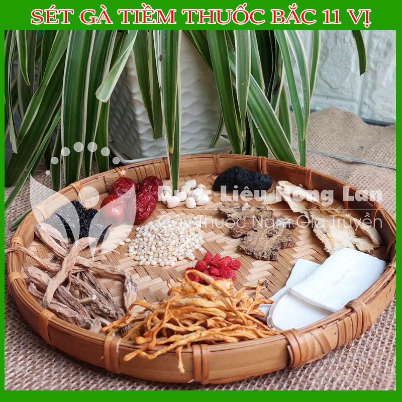 Sét Gà tiềm t.huốc bắc 11 vị - T.huố.c bắc hầm g.à, nấu canh, bồi bổ sức khỏe