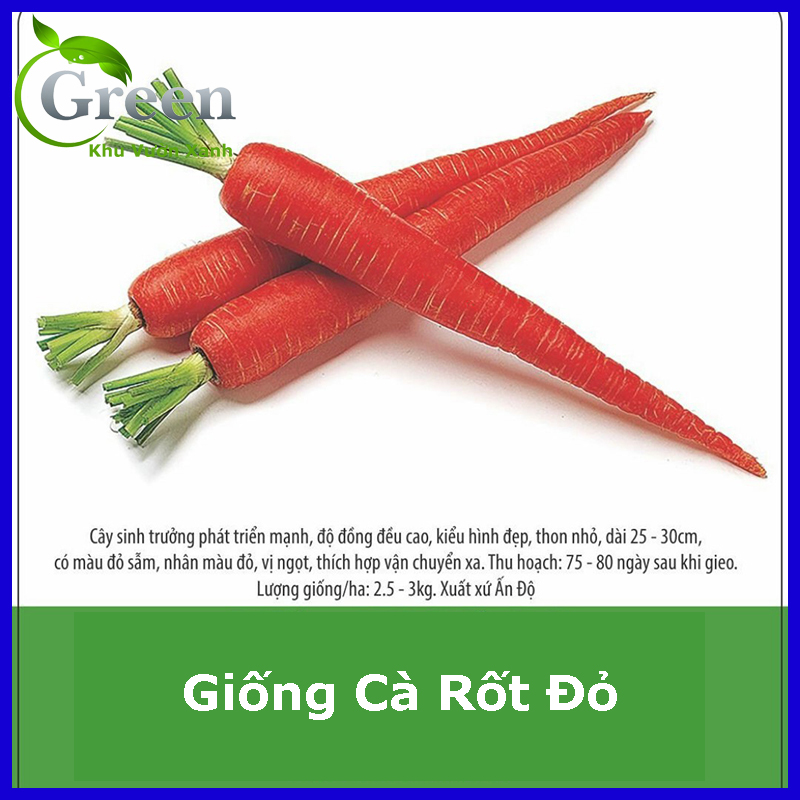 Hạt Giống Cà Rốt Đỏ Ấn Độ