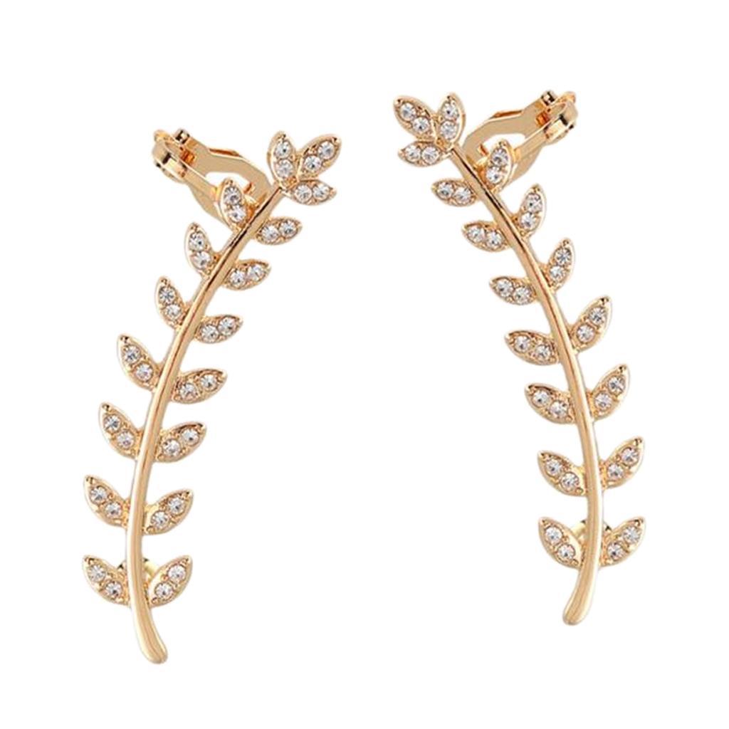 Earrings Ear Studs