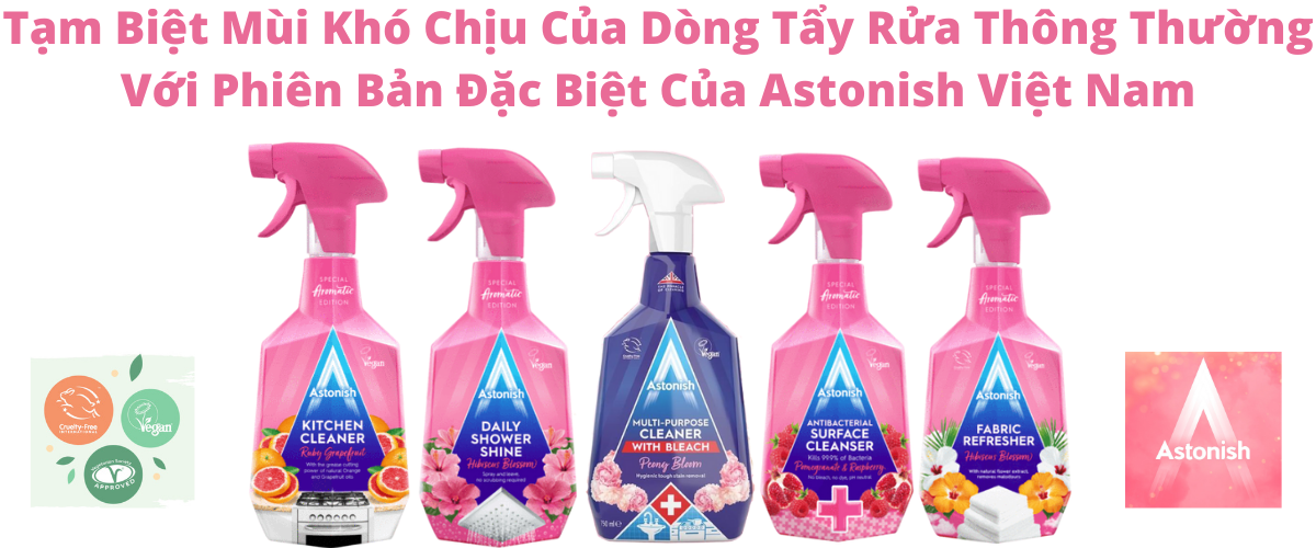 Bình xịt diệt khuẩn bề mặt đa năng hương lựu đỏ mâm xôi Astonish C3420 750ml