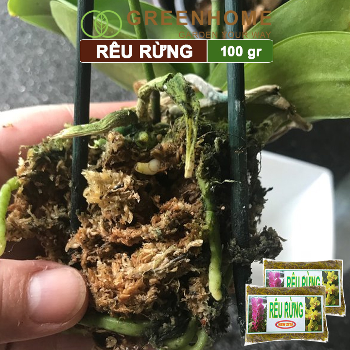 Rêu rừng, bao 100gr, đã qua xử lý, giữ ẩm tốt, chuyên phong lan, kiểng lá | Greenhome