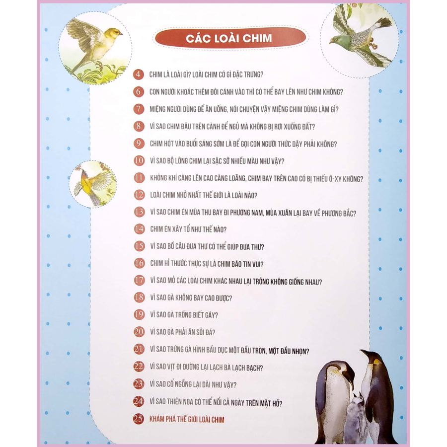 10 Vạn Câu Hỏi Vì Sao – Chim Và Động Vật Biển