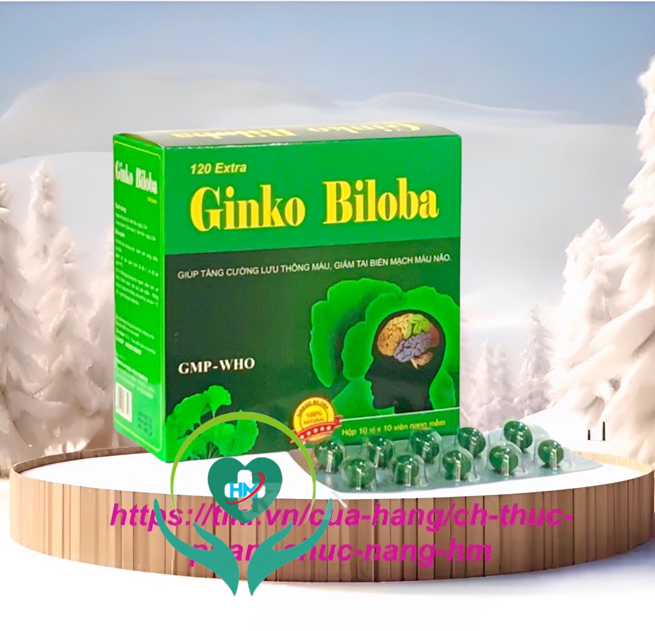 Viên uống Ginkgo Biloba 120mg Vinapharco , hộp 100v, tăng cường tuần hoàn não