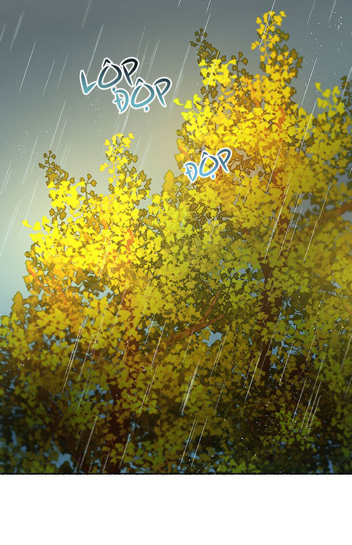 như gió trên cành cây khô chapter 65 2