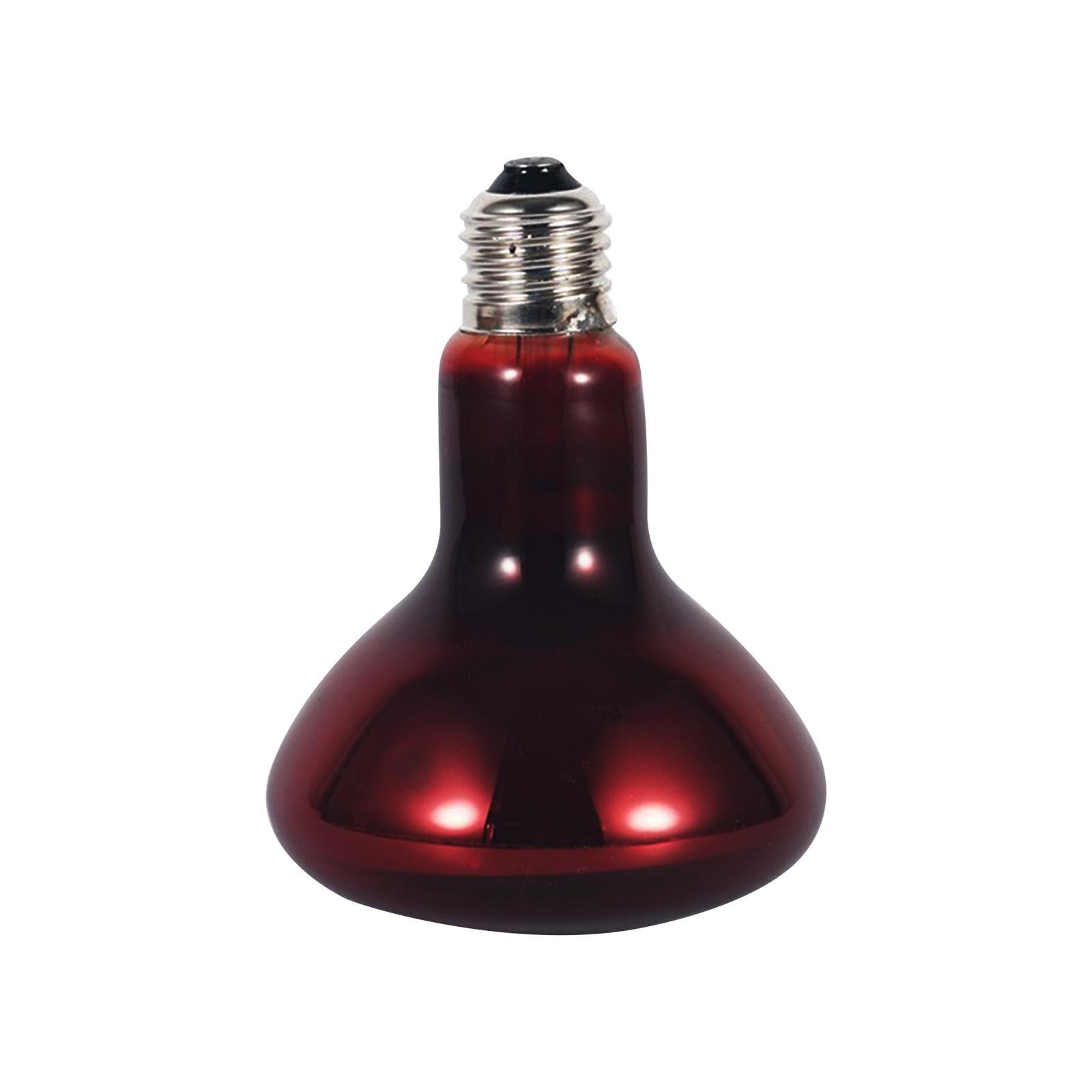E27 Reptile Light Bulb Heating Lamp Hedgehogs Pet Supplies 100W Warm