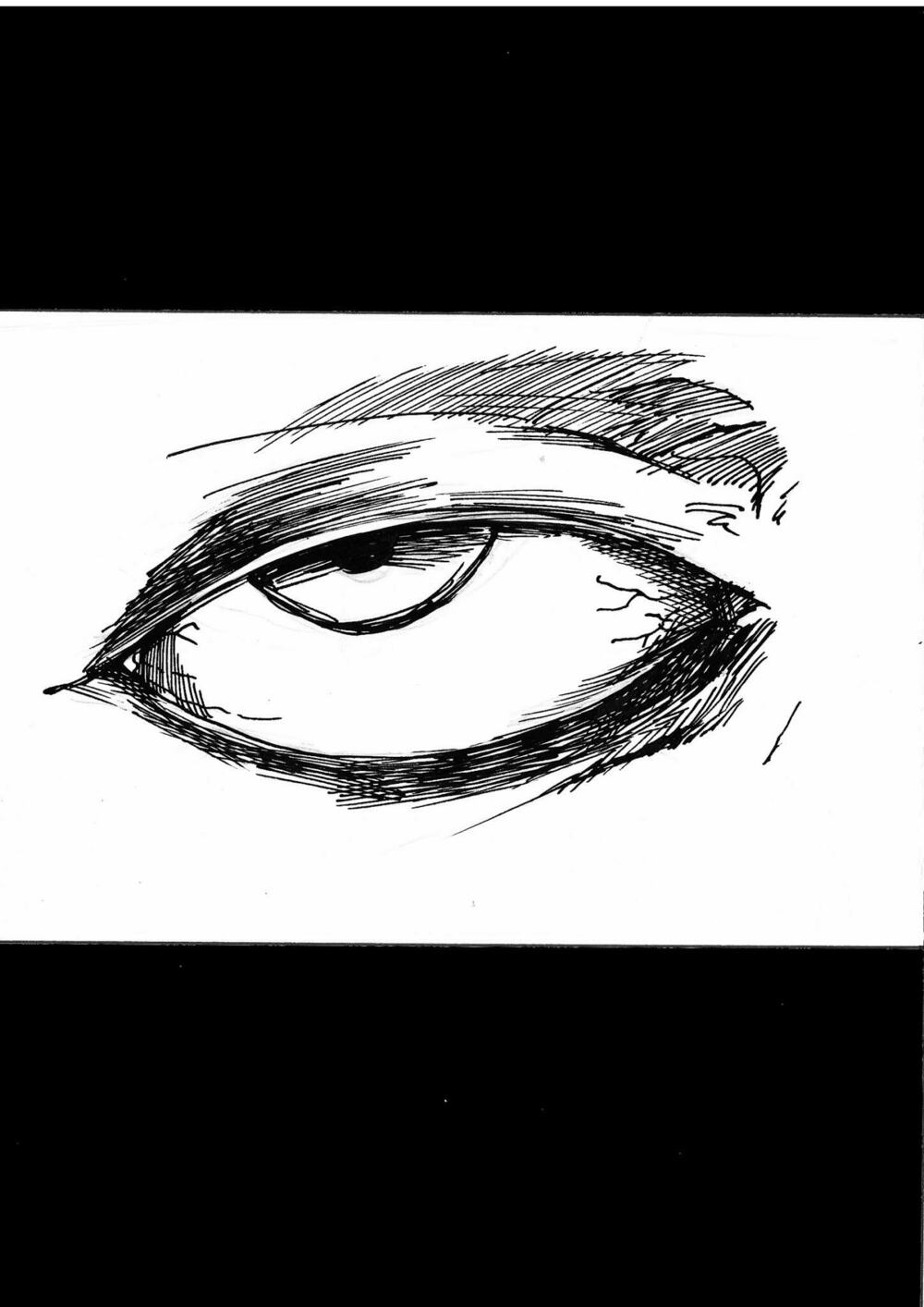 the artway to eat the sheep. chapter 1 41