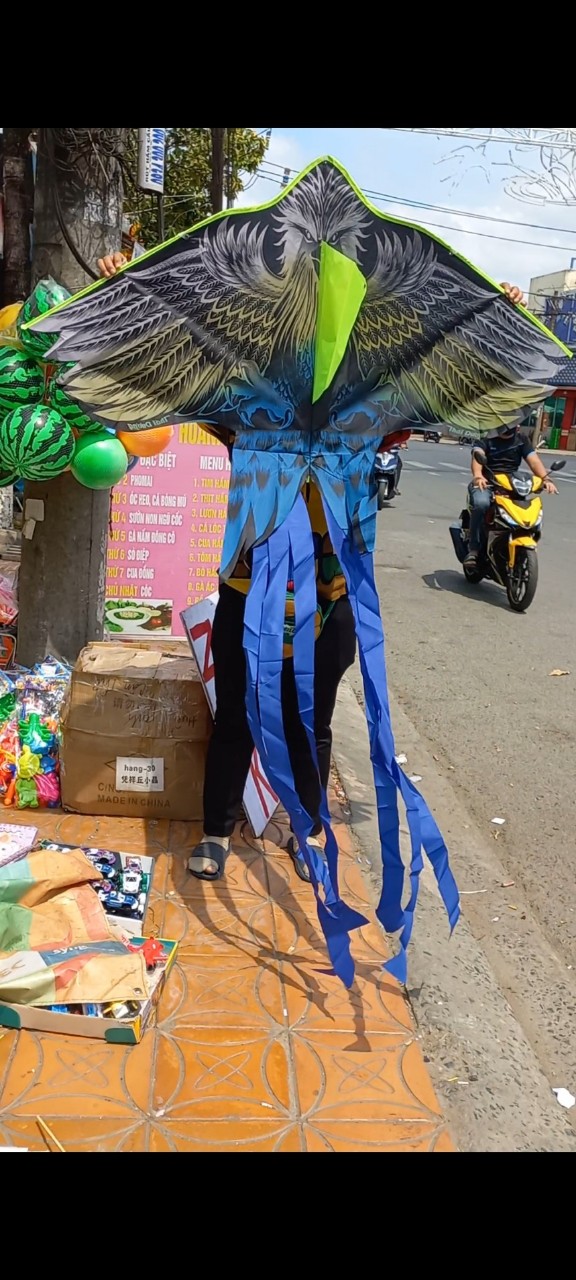 Diều hắc điêu