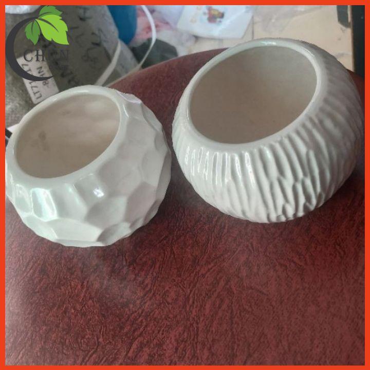 Chậu Cây Rau Má, Chậu Mạ Non Nhân Tạo Để Bàn, Kệ Tủ Trang Trí Nhà Cửa, Cửa Hàng, Văn Phòng, Lớp Học