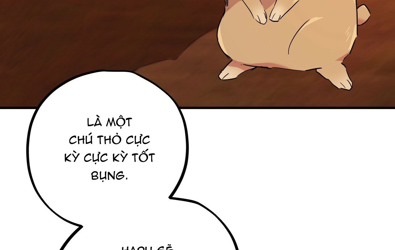 đàn thỏ của habibi chapter 16 128