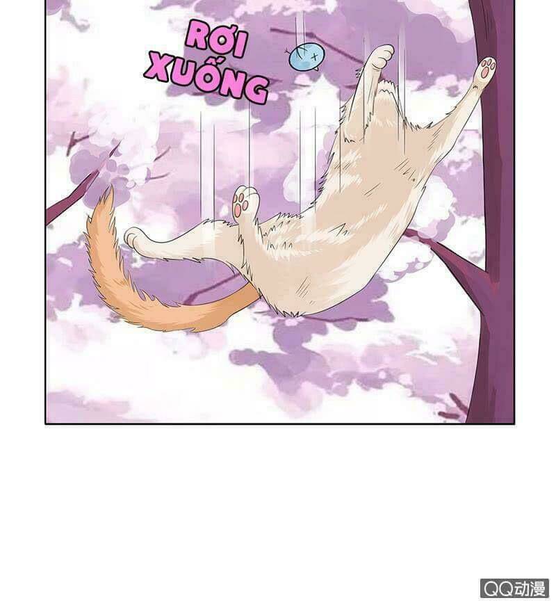 băng sơn học trưởng không được chọc chapter 53.1 12