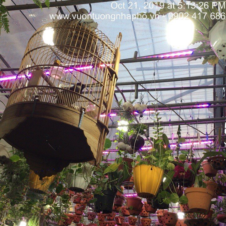 Đèn Trồng Cây Hoa Lan trong nhà LED Smart Light giúp bổ sung ánh sáng để cây hoa lan phát triển tốt và ra chồi nhanh (Dài 1.2m/Bộ)