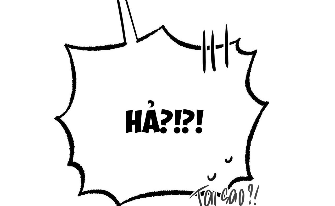 những chú thỏ của hapypy chapter 52 51