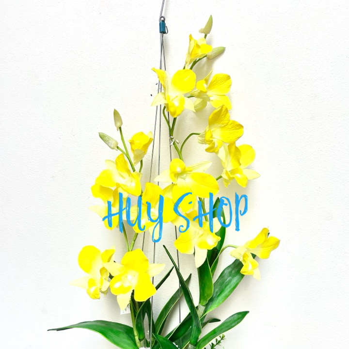 Giỏ gáo dừa Hoa LAN CÒ  Vải cao cấp trang trí treo trần nhà