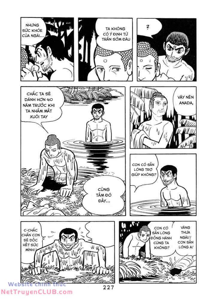 buddha - truyền thuyết đức phật chapter 56 5