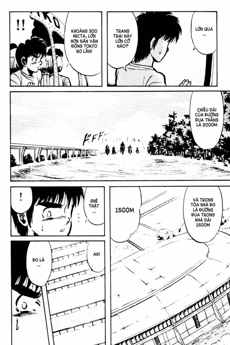 kaze no sylphid - phong mã silphid chapter 9 16